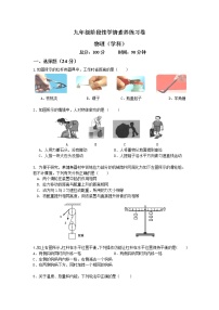 江苏省南京市江宁区部分学校2022-2023学年九年级上学期物理学情素养练习卷（含答案）