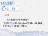 人教版物理初中九年级下册全册 期末复习 专题二 力学   第4课时 压强和浮力 PPT课件