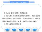 教科版九年级物理上第四章在光的世界里 第八节　走进彩色世界 习题课件