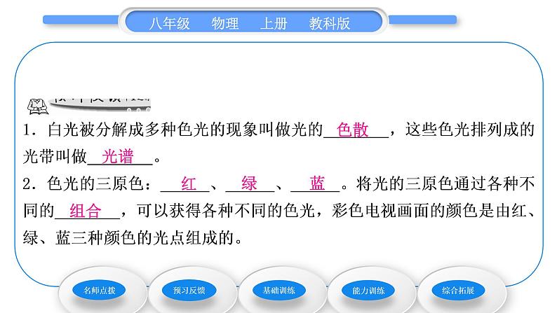 教科版九年级物理上第四章在光的世界里 第八节　走进彩色世界 习题课件第5页