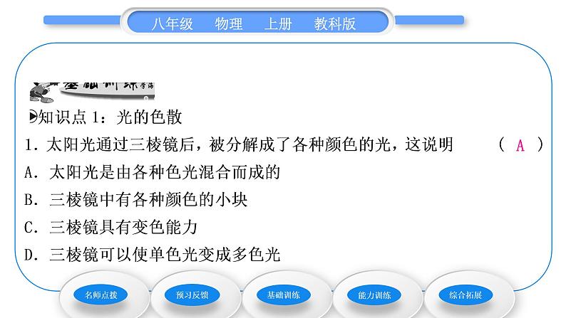 教科版九年级物理上第四章在光的世界里 第八节　走进彩色世界 习题课件第6页