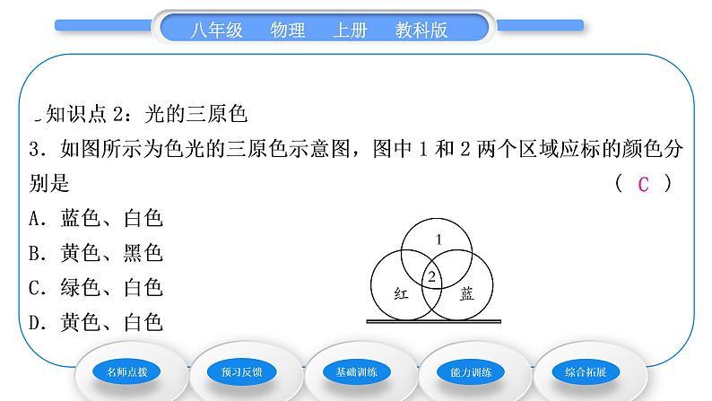 教科版九年级物理上第四章在光的世界里 第八节　走进彩色世界 习题课件第8页