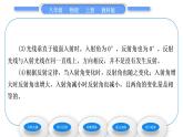 教科版九年级物理上第四章在光的世界里 第二节　光的反射定律 习题课件