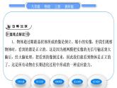 教科版九年级物理上第四章在光的世界里 第六节　神奇的眼睛 习题课件
