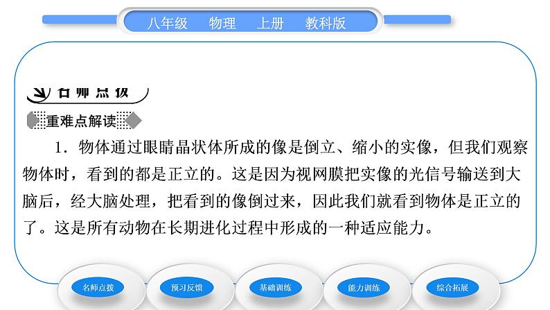 教科版九年级物理上第四章在光的世界里 第六节　神奇的眼睛 习题课件02