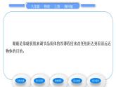 教科版九年级物理上第四章在光的世界里 第六节　神奇的眼睛 习题课件