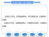 教科版九年级物理上第四章在光的世界里 第六节　神奇的眼睛 习题课件