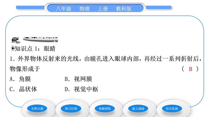 教科版九年级物理上第四章在光的世界里 第六节　神奇的眼睛 习题课件08