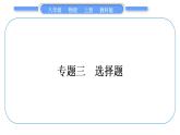 教科版九年级物理上第七章期末复习专题 专题三　选择题 习题课件