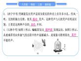 教科版九年級(jí)物理上第三章聲 第三章中考熱點(diǎn)專(zhuān)練 習(xí)題課件