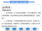 教科版九年级物理上第四章在光的世界里 第一节　光源　光的传播 习题课件