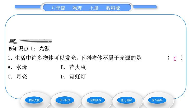 教科版九年级物理上第四章在光的世界里 第一节　光源　光的传播 习题课件08