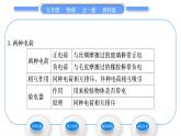教科版九年级物理全册第三章认识电路3．1　电现象习题课件