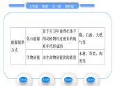 教科版九年级物理全册第十一章物理学与能源技术11．3　能　源习题课件