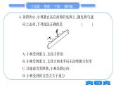 教科版八年级物理下第七章力 第七章中考热点专练 习题课件