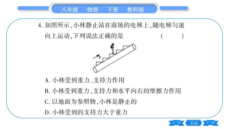 教科版八年级物理下第七章力 第七章中考热点专练 习题课件05