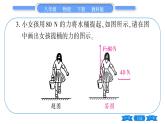 教科版八年级物理下第七章力 小专题一  力的作图 习题课件