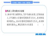 教科版八年级物理下第十章流体的力现象 第十章中考热点专练 习题课件