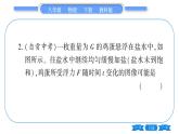 教科版八年级物理下期末复习专题 专题二  坐标图像题 习题课件