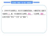 教科版九年級(jí)物理全冊(cè)第八章電磁相互作用及應(yīng)用第七、八章復(fù)習(xí)提升習(xí)題課件