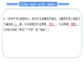 教科版九年级物理全册第八章电磁相互作用及应用第七、八章复习提升习题课件