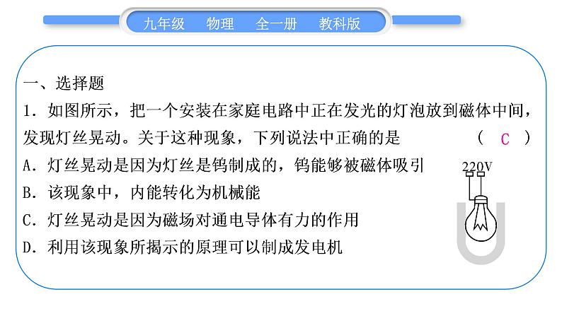 教科版九年级物理全册第八章电磁相互作用及应用综合练习(7.3～8.3)习题课件第2页