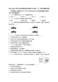 2021-2022学年上学期山东省青岛市市南区九年级期中物理试题（无答案）