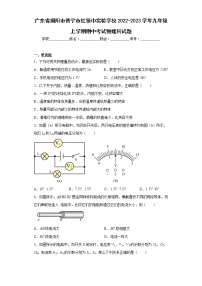 广东省揭阳市普宁市红领巾实验学校2022-2023学年九年级上学期期中考试物理科试题(含答案)