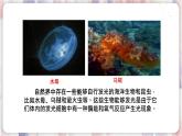 苏科版物理八年级上册 3.1 光的色彩 颜色 PPT课件