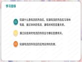 北师大版物理9年级 13.4电流的热效应 PPT课件+教案