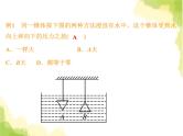 中考物理复习题型五浮力专题课件