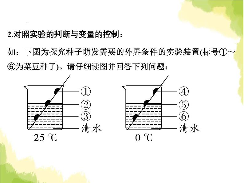 中考物理复习题型九生物探究课件第4页