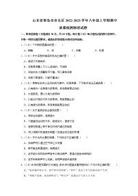 山东省青岛市市北区2022-2023学年八年级上学期期中质量检测物理试题(含答案)