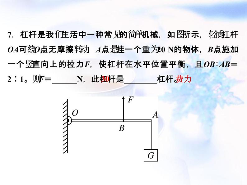 中考物理复习第8讲简单机械精练课件第8页