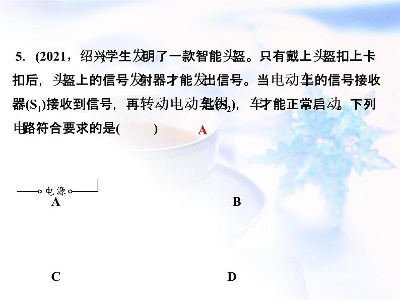 中考物理复习第9讲电路精练课件第6页