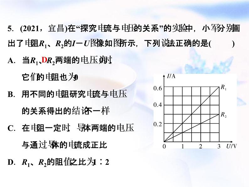 中考物理复习第10讲欧姆定律精练课件第6页