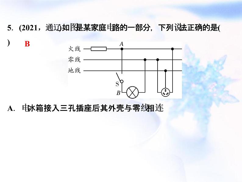 中考物理复习第12讲家庭电路精练课件第6页