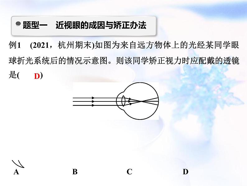 中考物理复习微专题32近视与远视成因及成像分析精讲课件第2页