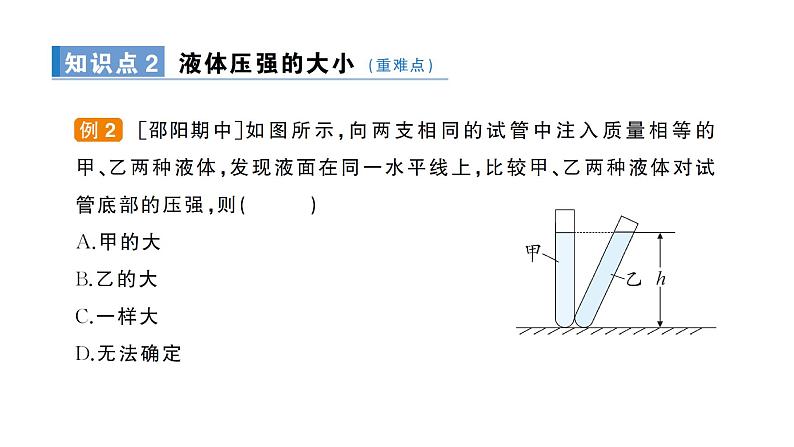 第2节 液体的压强第6页