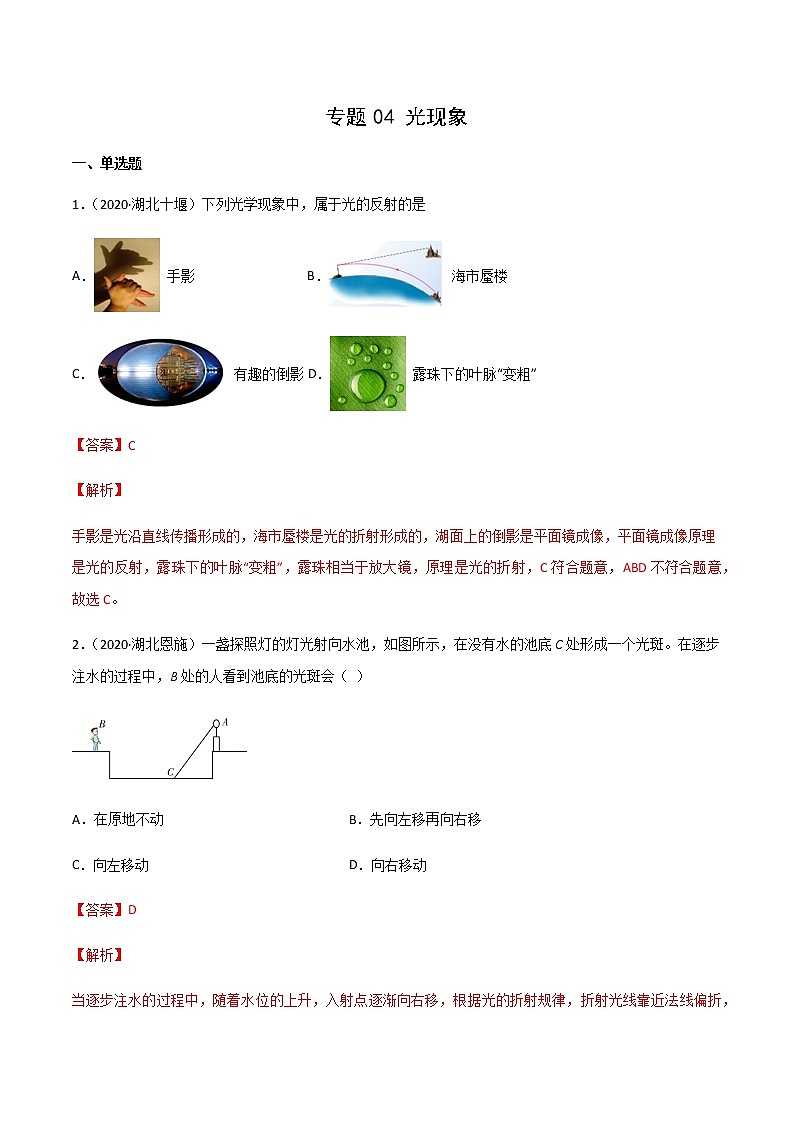 专题04 光现象-三年（2020-2022）中考物理真题分项汇编（湖北专用）（解析版）第1页