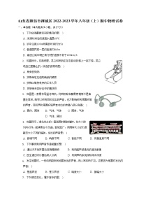 山东省潍坊市潍城区2022-2023学年八年级上学期物理期中质量检测(含答案)