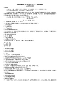 四川省成都市金苹果锦城一中2022-2023学年九年级上学期期中物理试题(含答案)