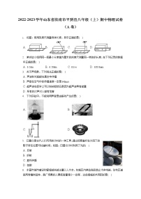 2022-2023学年山东省济南市平阴县八年级（上）期中物理试卷（A卷）(含答案解析)