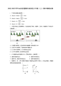 2022-2023学年山东省淄博市高青县八年级（上）期中物理试卷(含答案解析)