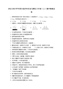 2022-2023学年四川省泸州市龙马潭区八年级（上）期中物理试卷(含答案解析)