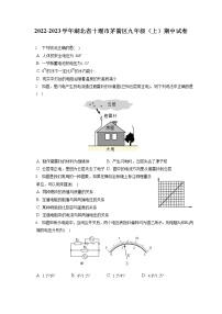 2022-2023学年湖北省十堰市茅箭区九年级（上）期中试卷（含答案解析）