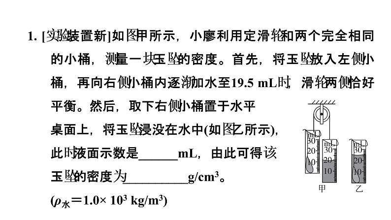 中考物理复习第6课时密度的测量课后练课件第3页