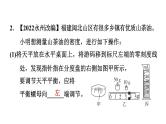 中考物理复习第6课时密度的测量课后练课件
