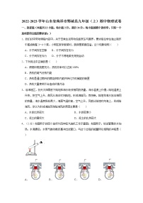 山东省菏泽市鄄城县2022-2023学年九年级上学期期中物理试卷(含答案)