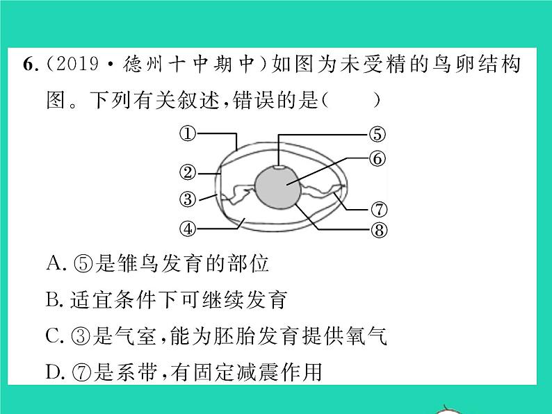 2022八年级物理下册第七章力复习卷习题课件新版新人教版第8页